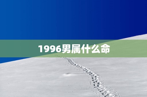 1996男属什么命