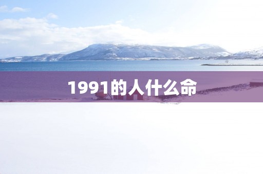 1991的人什么命