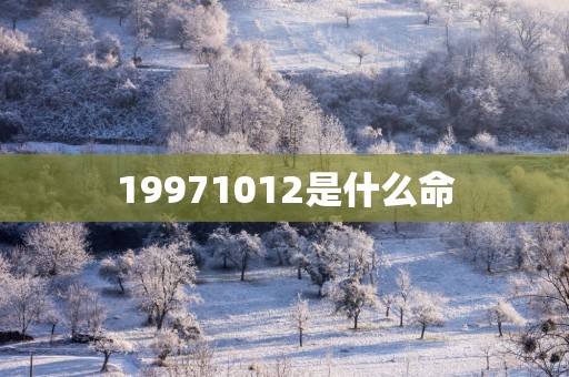19971012是什么命
