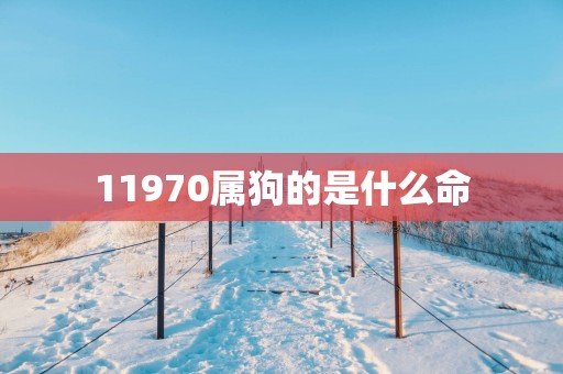 11970属狗的是什么命