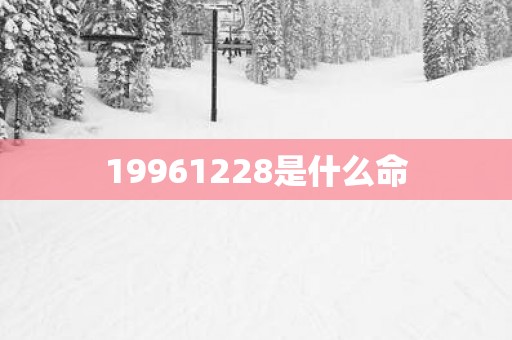 19961228是什么命