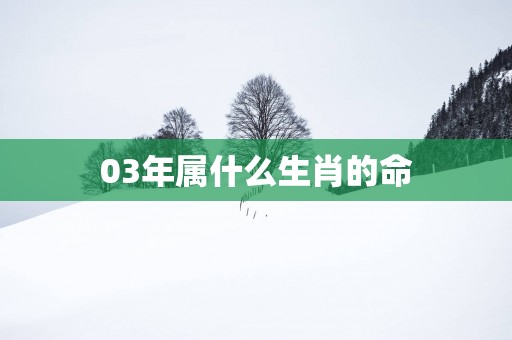 03年属什么生肖的命