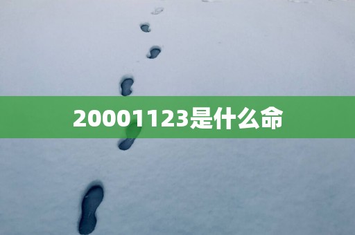 20001123是什么命