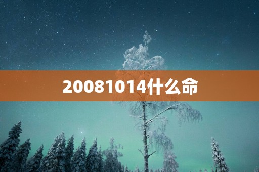 20081014什么命
