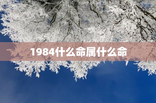1984什么命属什么命
