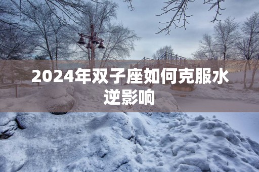 2025年双子座如何克服水逆影响
