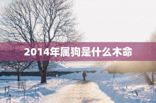 2014年属狗是什么木命