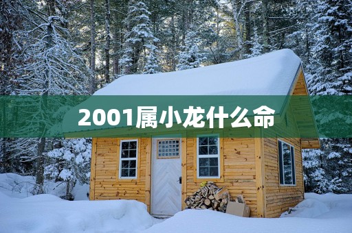 2001属小龙什么命