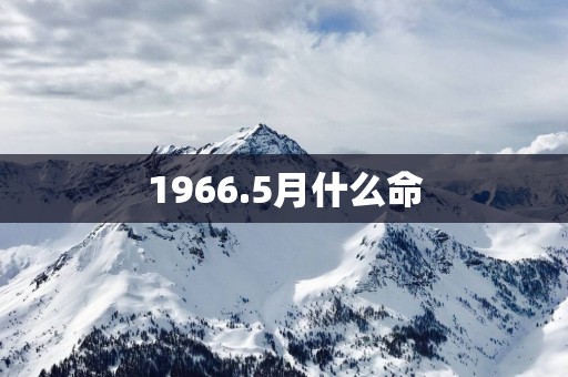 1966.5月什么命