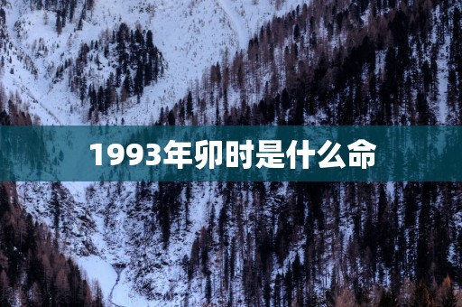 1993年卯时是什么命