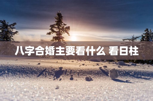 八字合婚主要看什么 看日柱