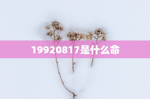 19920817是什么命