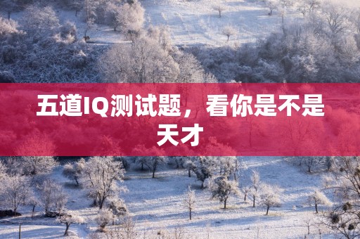 五道IQ测试题，看你是不是天才