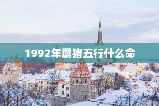 1992年属猪五行什么命