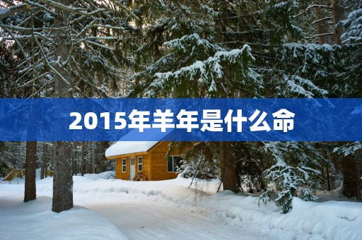 2015年羊年是什么命