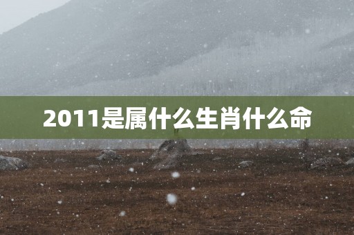 2011是属什么生肖什么命