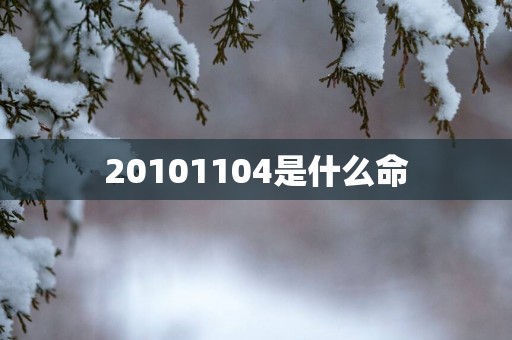 20101104是什么命