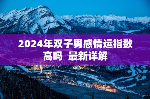 2025年双子男感情运指数高吗  最新详解