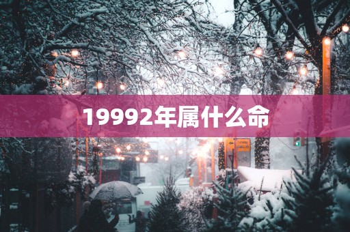 19992年属什么命
