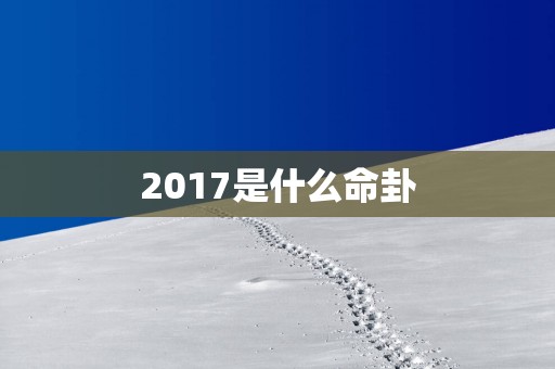 2017是什么命卦
