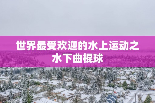 世界最受欢迎的水上运动之水下曲棍球