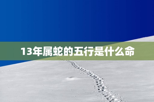 13年属蛇的五行是什么命