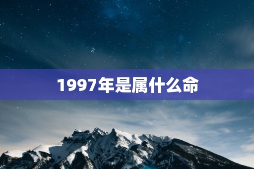 1997年是属什么命