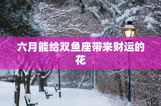 六月能给双鱼座带来财运的花