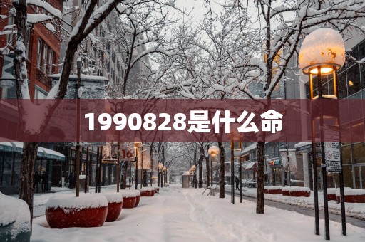 1990828是什么命