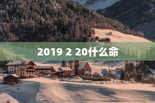 2019 2 20什么命