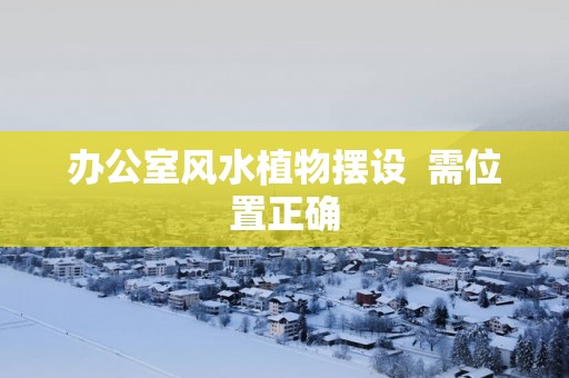 办公室风水植物摆设  需位置正确