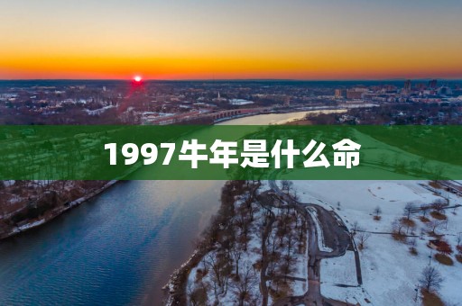 1997蛇年是什么命