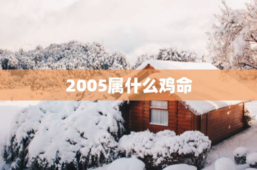 2005属什么鸡命