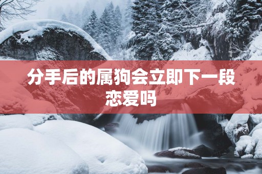 分手后的属狗会立即下一段恋爱吗