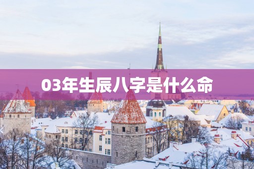 03年生辰八字是什么命