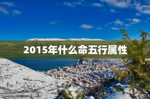 2015年什么命五行属性