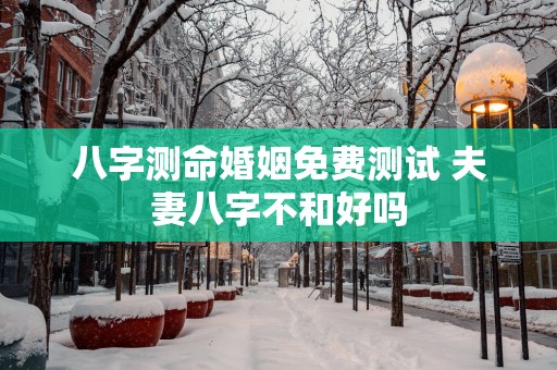 八字测命婚姻免费测试 夫妻八字不和好吗