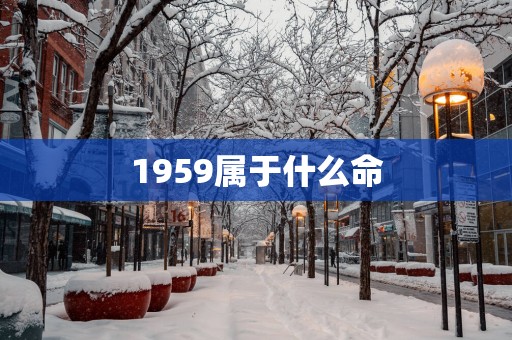 1959属于什么命