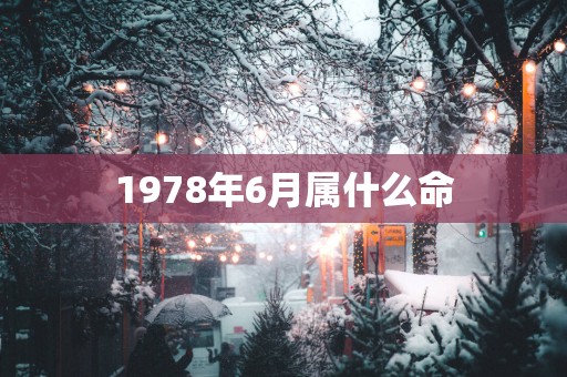 1978年6月属什么命