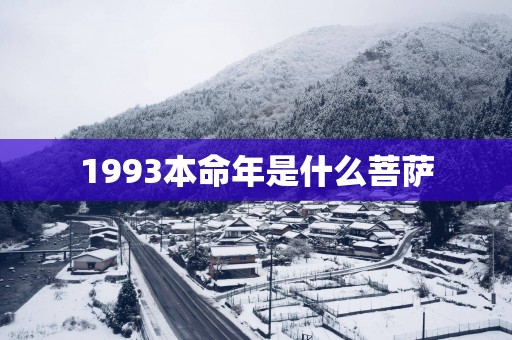 1993本命年是什么菩萨