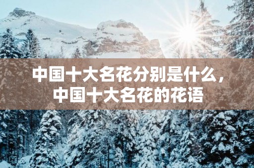 中国十大名花分别是什么，中国十大名花的花语