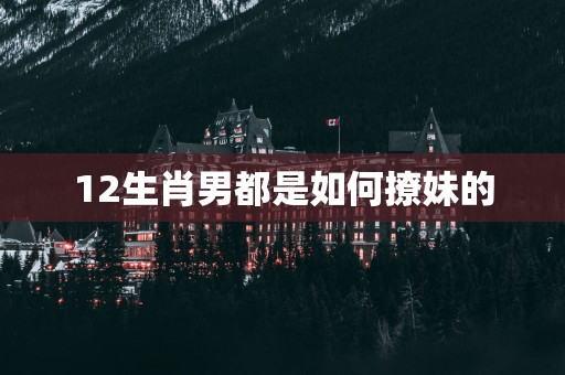 12生肖男都是如何撩妹的