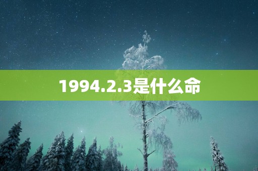 1994.2.3是什么命