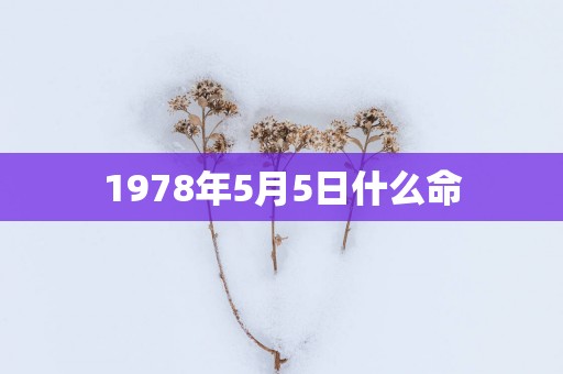 1978年5月5日什么命