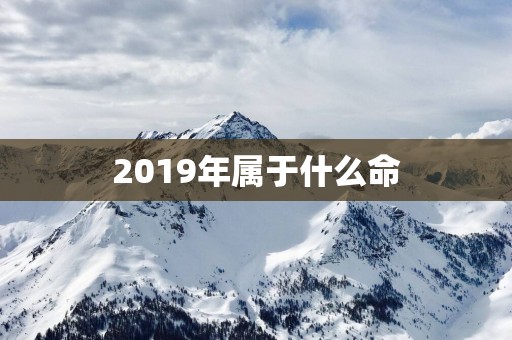 2019年属于什么命