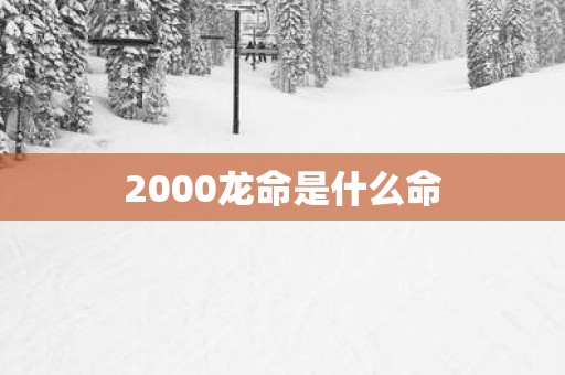 2000龙命是什么命