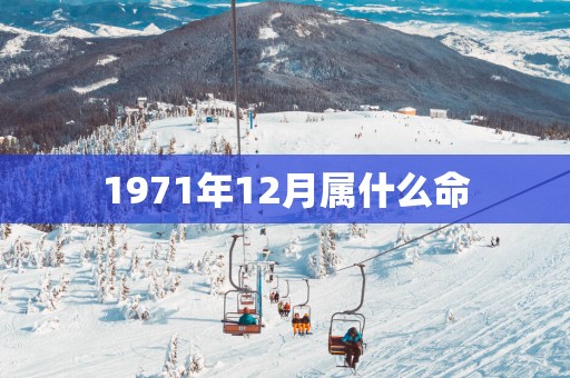 1971年12月属什么命