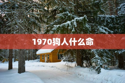 1970狗人什么命