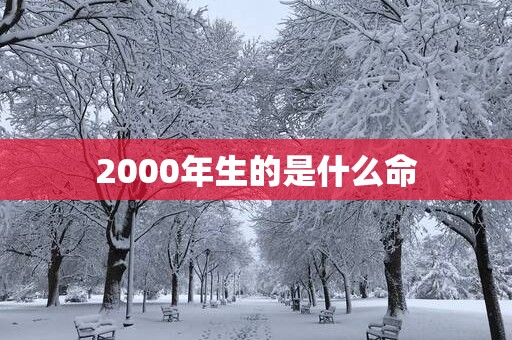 2000年生的是什么命