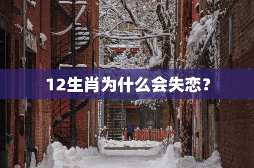 12生肖为什么会失恋？
